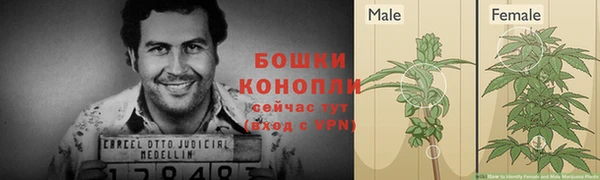 дмт Лагань