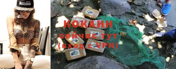 дмт Лагань