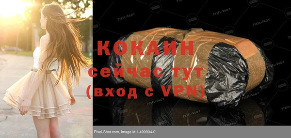 дмт Лагань