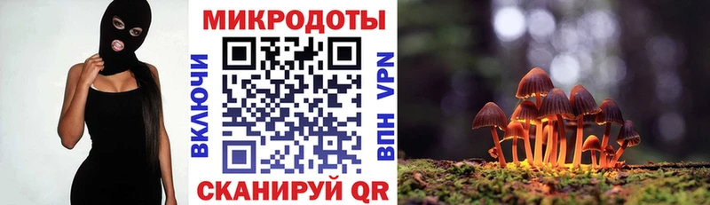 Купить  Нижнекамск  Псилоцибиновые грибы Cubensis 